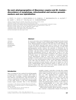 Go east: phylogeographies of Mauremys caspica and M. rivulata