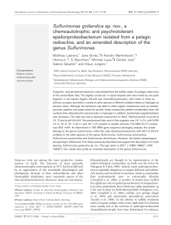 Sulfurimonas gotlandica sp. nov., a chemoautotrophic and
