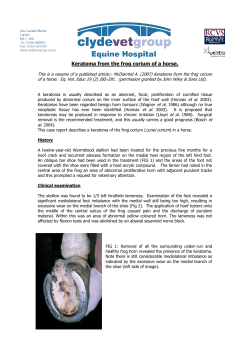 Keratoma From The Frog Horn