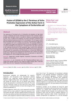Fusion of Zif268 to the C-Terminus of Scfvs Promotes Expression of