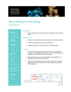 Describing and Deciding