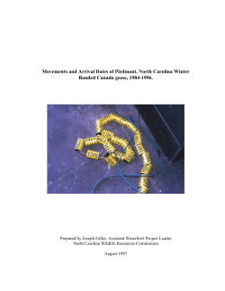 Movements and Arrival Dates of Piedmont, North Carolina Winter