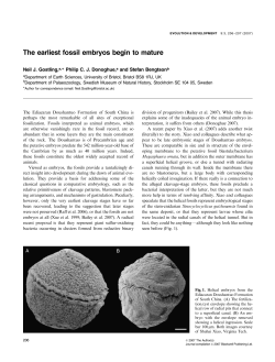 The earliest fossil embryos begin to mature
