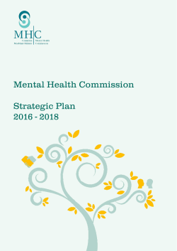 Mental Health Commission Strategic Plan 2016