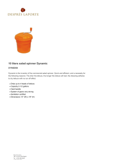 10 liters salad spinner Dynamic