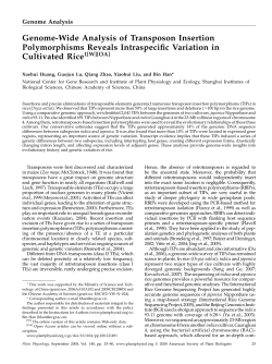 Genome-Wide Analysis of Transposon Insertion