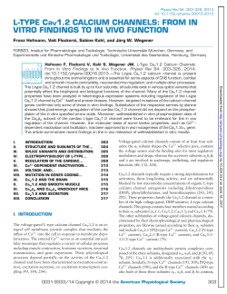 L-TYPE CaV1.2 CALCIUM CHANNELS: FROM IN VITRO FINDINGS