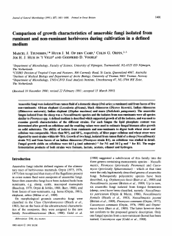 Comparison of growth characteristics of anaerobic fungi isolated