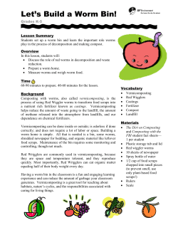 Let`s Build a Worm Bin!