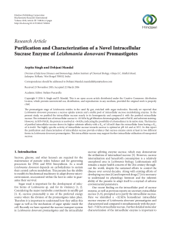 Purification and Characterization of a Novel Intracellular Sucrase