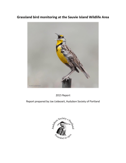 Grassland bird monitoring at the Sauvie Island Wildlife Area