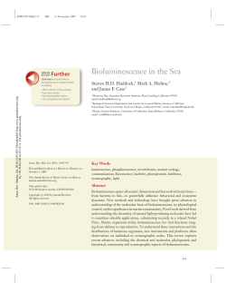 Bioluminescence in the Sea
