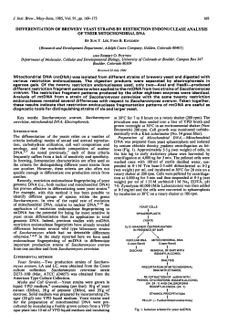 differentiation of brewery yeast strains by restriction endonuclease