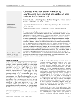 Cellulose modulates biofilm formation by counteracting curli