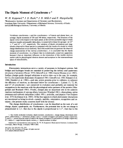 The Dipole Moment of Cytochrome c I