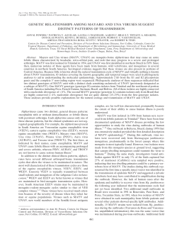 genetic relationships among mayaro and una viruses suggest