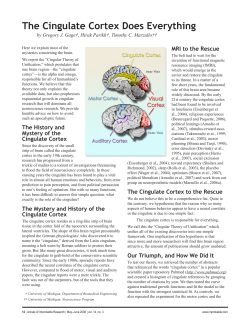 The Cingulate Cortex Does Everything