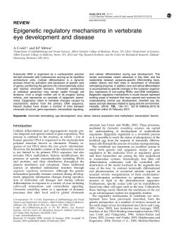 Epigenetic regulatory mechanisms in vertebrate eye