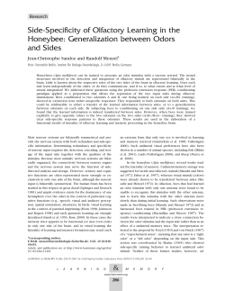Side-Specificity of Olfactory Learning in the Honeybee