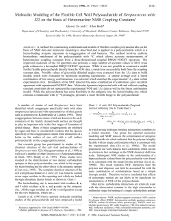 Molecular Modeling of the Flexible Cell Wall Polysaccharide of