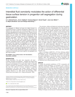Interstitial fluid osmolarity modulates the action of differential tissue