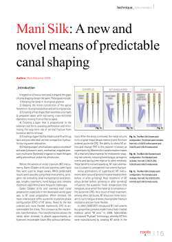 Mani Silk: A new and novel means of predictable canal shaping