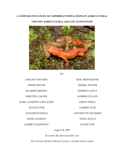 a comparative study of amphibian populations in agricultural and