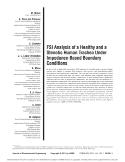 FSI Analysis of a Healthy and a Stenotic Human Trachea Under