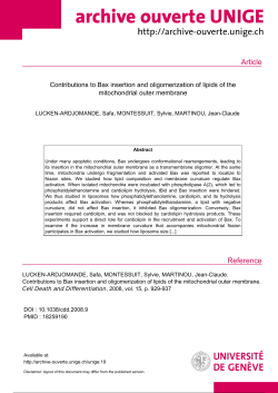 Article (Published version)