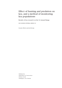 Effect of hunting and predation on kea, and a