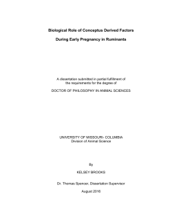 Biological Role of Conceptus Derived Factors During Early