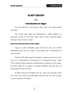 PLANT GROUPS (1)