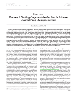 Factors Affecting Oogenesis in the South African Clawed Frog (<i