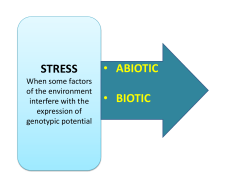 STRESS &bull; ABIOTIC &bull; BIOTIC
