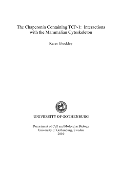 The Chaperonin Containing TCP-1: Interactions with the