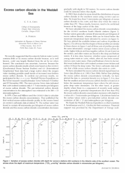 Excess carbon dioxide in the Weddell Sea