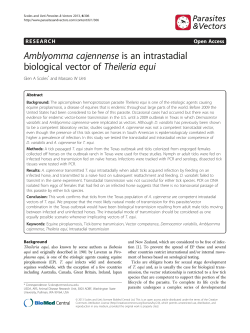 Amblyomma cajennenseis an intrastadial biological vector