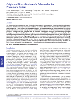 Article Origin and Diversification of a Salamander