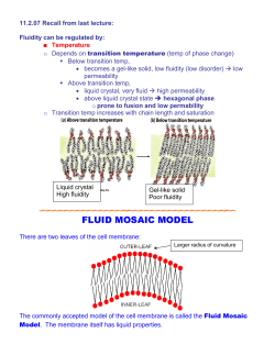 FLUID MOSAIC MODEL