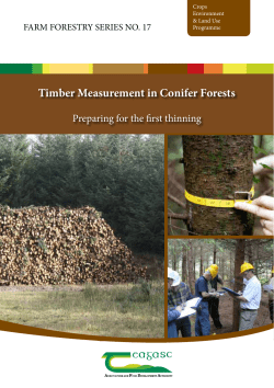 Timber Measurement in Conifer Forests