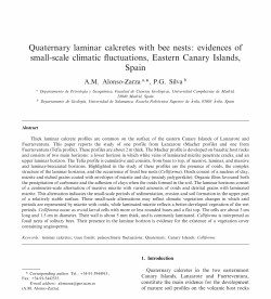 Quaternary laminar calcretes with bee nests: evidences of small