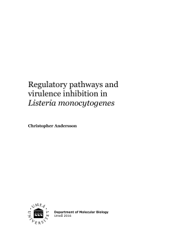 Regulatory pathways and virulence inhibition in Listeria