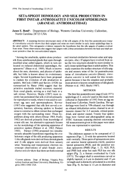 SETA-SPIGOT HOMOLOGY AND SILK PRODUCTION I N FIRST