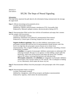 The steps of neural signaling
