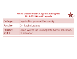 College Loyola Marymount University Faculty Dr. Rachel Adams