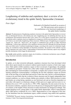 Lengthening of embolus and copulatory duct: a review of an