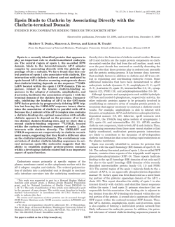 Epsin Binds to Clathrin by Associating Directly with the Clathrin