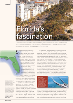 Florida`s fascination - Study Travel Network