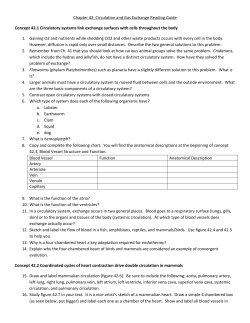 Chapter 42: Circulation and Gas Exchange Reading Guide Concept