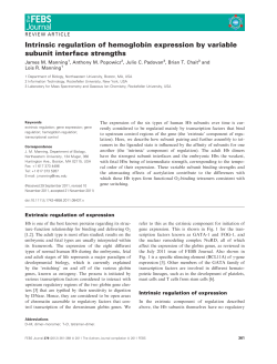 Intrinsic regulation of hemoglobin expression by variable subunit